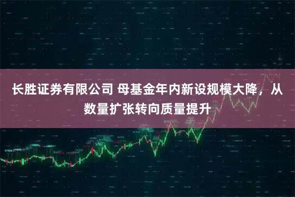 长胜证券有限公司 母基金年内新设规模大降，从数量扩张转向质量提升