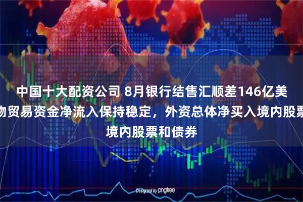 中国十大配资公司 8月银行结售汇顺差146亿美元：货物贸易资金净流入保持稳定，外资总体净买入境内股票和债券
