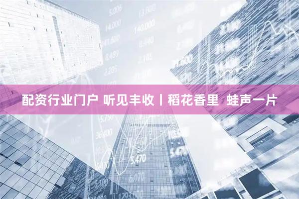 配资行业门户 听见丰收丨稻花香里  蛙声一片